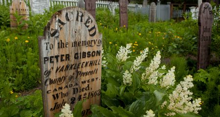 Cemetary2