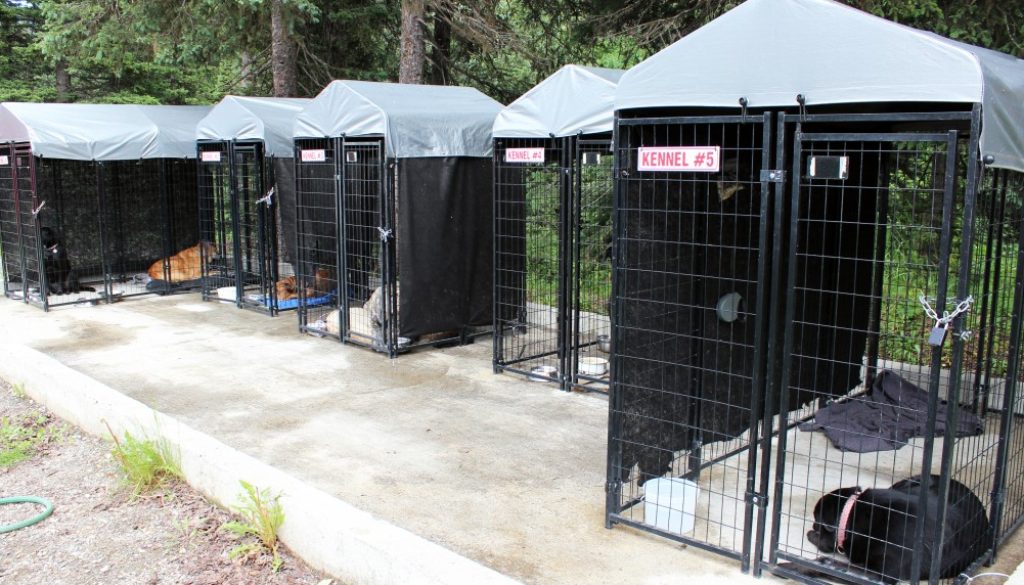 Dog Kennels2
