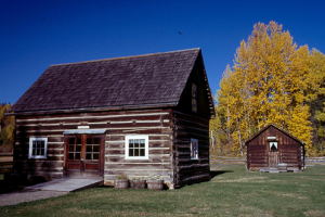 CottonwoodHouseFall200304